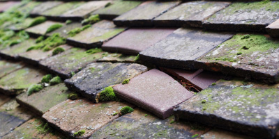 Soar roof repair costs